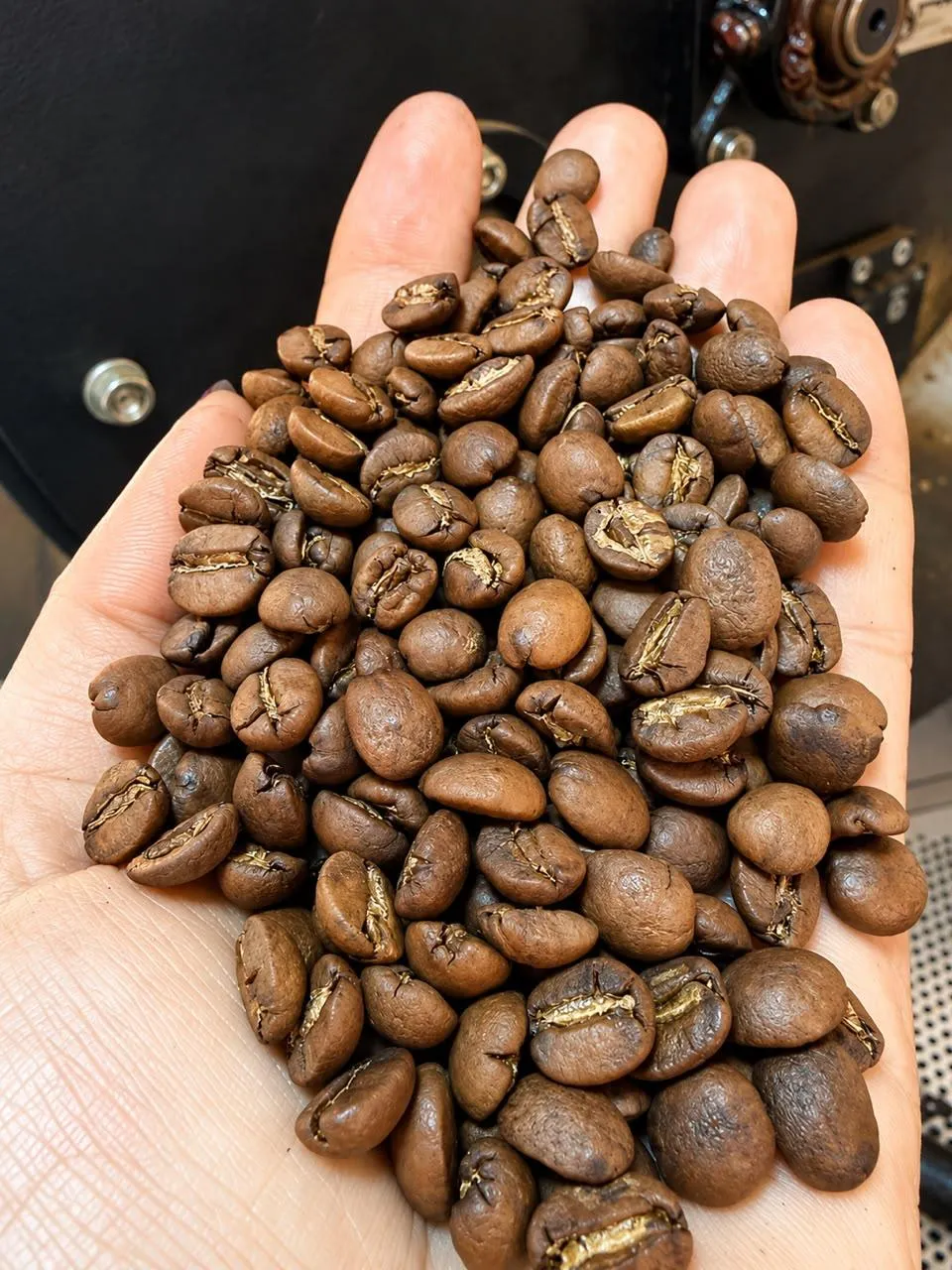 Café Especial em Grãos 100% Arábica – Torra Média 500g